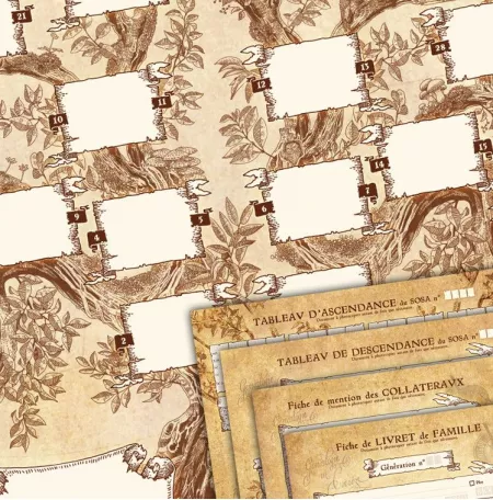 Arbre généalogique pour enfant - 5 générations -  Vue d'ensemble