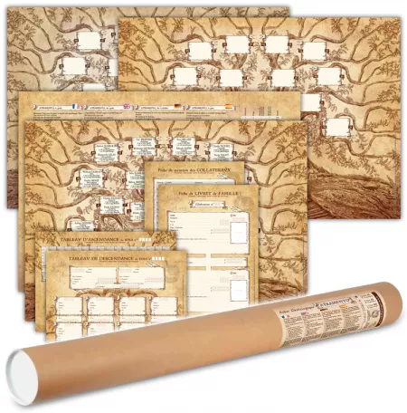 Arbre généalogique - 5 générations - Contenu