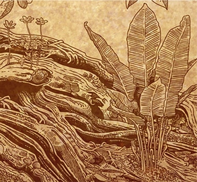 Arbre Généalogique Atramento : Illustration à la main Arbre Généalogique Atramento : Illustration à la main